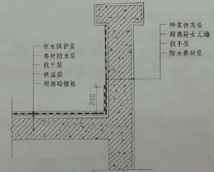 567.jpg