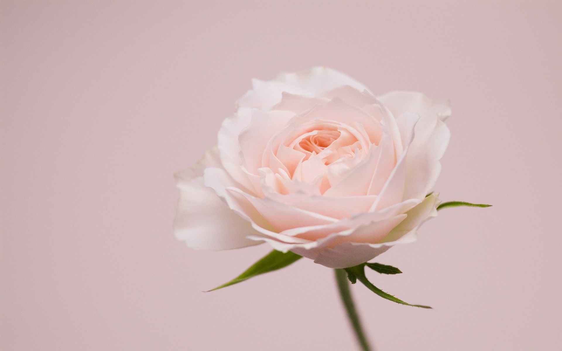 普通话练习,看看