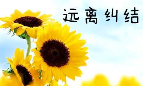 千万别把自己的人生调成纠结模式